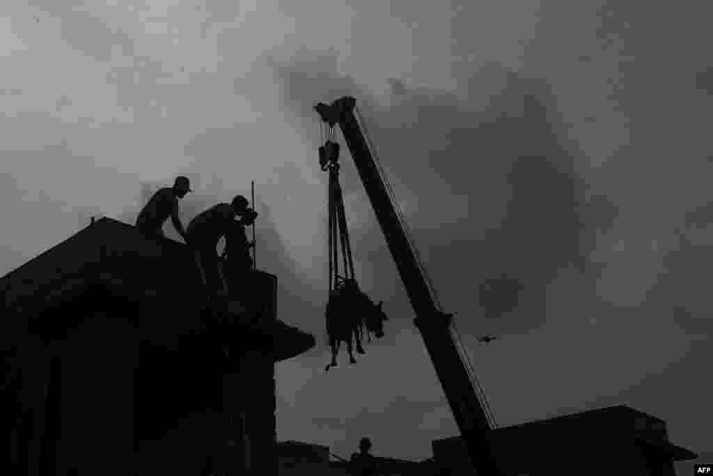 Residents watch as a crane is used to lower a cow onto the ground in preparation of the upcoming Muslim festival of Eid al-Adha in Karachi, Pakistan, on July 3.