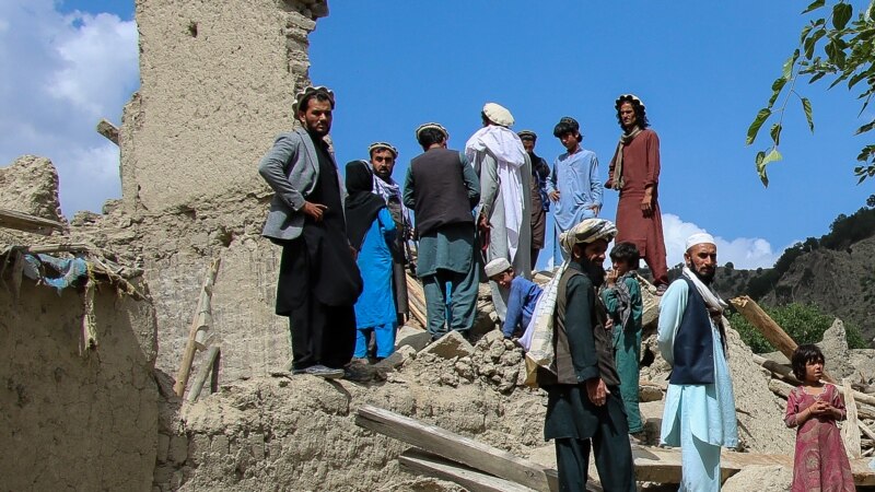 د افغانستان کرېکټ بورډ له زلزله ځپلو سره مرسته کوي