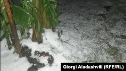 გურჯაანის მუნიციპალიტეტი