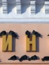  Голуби на вывеске кинотеатра