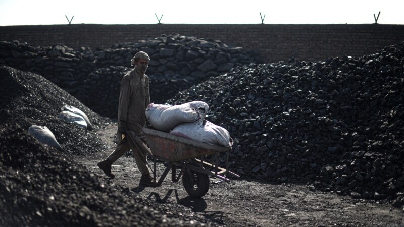 حکومت طالبان بار دیگر نرخ زغال سنگ را افزایش داد 