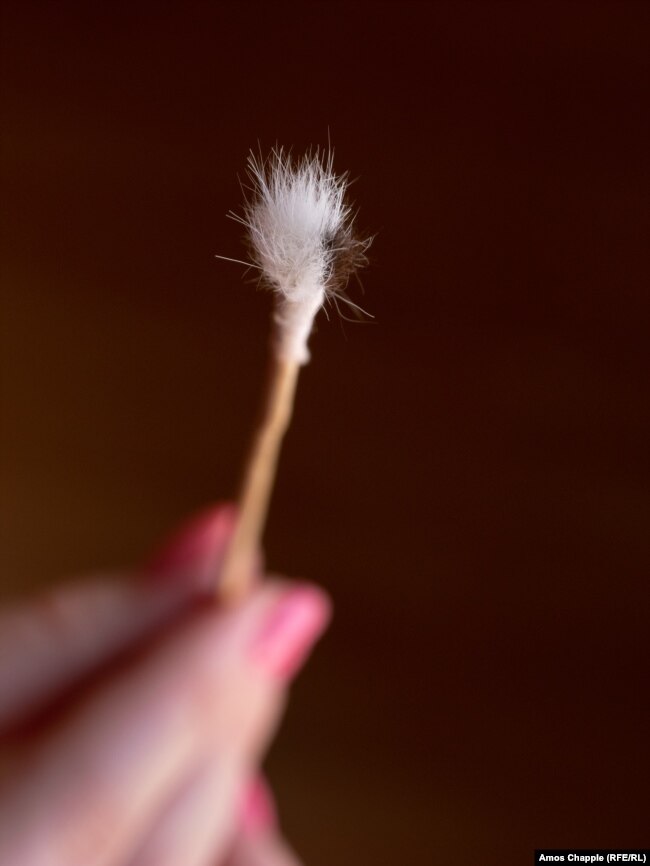 A paint brush made of cat fur.