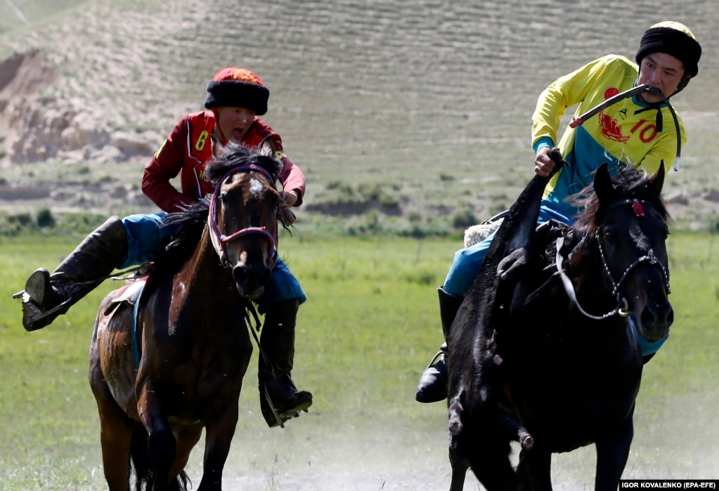 Кыргызские всадники соревнуются в игре «кок-бору». Игроки пытаются забросить тушу козла, «улак», в ворота своих противников. В таких играх всадников и их лошадей учат быть бесстрашными   