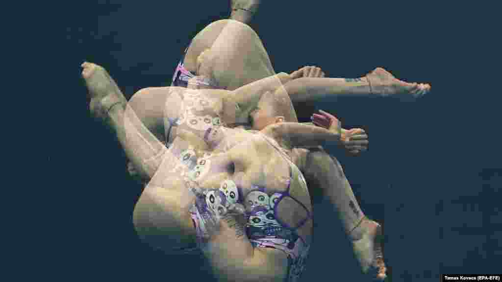 Ukrajinka Sofija Liskun tijekom preliminarne runde skokova s platforme na 10 metara za žene na 19. FINA-inom Svjetskom prvenstvu u Budimpešti, 26. lipnja.