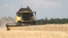 Збір врожаю озимої пшениці у Запорізькому районі Запорізької області. 5 липня 2022 року