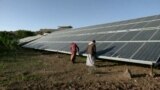 Video grab: Yemeni farmers use solar-powered irrigation