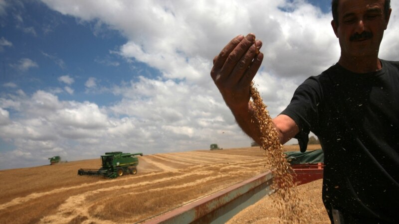 UN upozorio na 'katastrofu' zbog globalne nestašice hrane