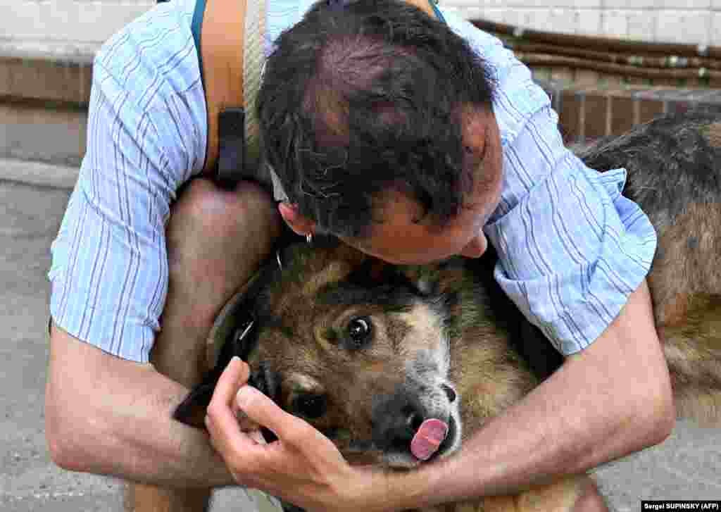 Yuriy Manko, un voluntar în vârstă de 31 de ani, îmbrățișează un câine în fața adăpostului temporar pentru animale din capitala ucraineană Kiev, la 9 iunie 2022.