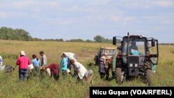 Agricultorii moldoveni au cerut sprijinul autorităților după ce produsele petroliere s-au scumpit de aproape două ori în 2022