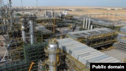 Теңіз кеніші. Көрнекі сурет.