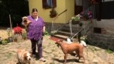 Serbia -- A refugee from Ukraine Maja Ernst, with her dogs at weekend cottage in Tresnja near Belgrade, Jun 17, 2022