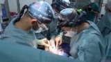 Organ transplant surgery, AFP