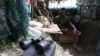 A Ukrainian soldier sits in a trench on the front line near Avdiyivka on June 18. Located 6&nbsp;kilometers north of Donetsk, Avdiyivka has long been a major impediment to Moscow&#39;s military objectives, as it is directly in the path of Russian forces attempting to advance and gain control in the east.