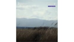 "Угольщики для нас — оккупанты". Жители Хакасии обвиняют власти и угольщиков в геноциде