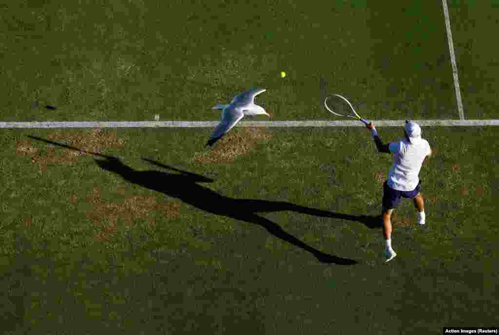 Britanac Ryan Peniston na potezu tokom meča drugog kola protiv Španca Pedra Martineza,&nbsp;Eastbourne, Velika Britanija, 22. juni 2022.