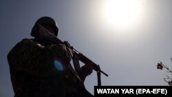 Owgan esgeri Helmand welaýatynda gözegçilik edýär. Arhiw suraty.