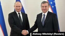 Президенты Узбекистана и России Владимир Путин и Шавкат Мирзияев.
