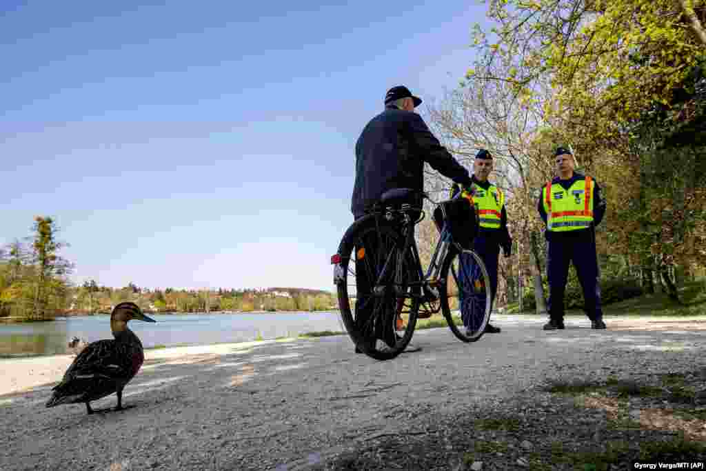 A duck looks on as Hungarian police officers question a man during a coronavirus lockdown in Szombathely on April 10. (AP/Gyorgy Varga)