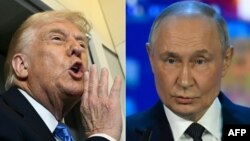 Donald Tramp və Vladimir Putin