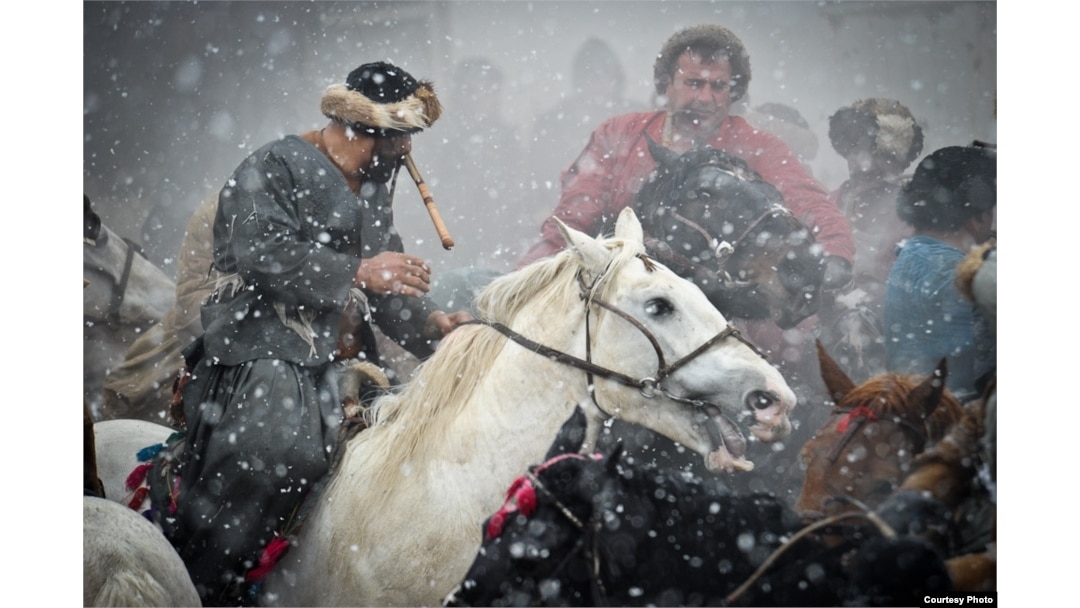 Порно видеода бодибилдингпен айналысатын әйелдің мысығын жалаған