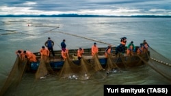 Бригада рыбаков компании «Устькамчатрыба» во время переборки морского ставного невода в Тихом океане на восточном побережье Камчатки