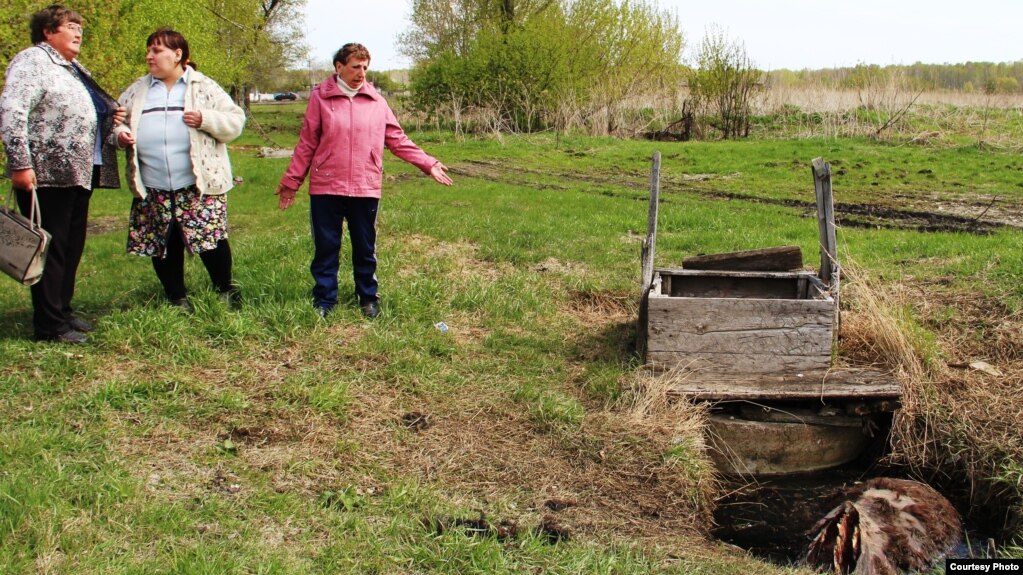 Люди и лошадь