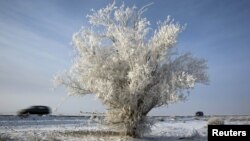 Иллюстративное фото.