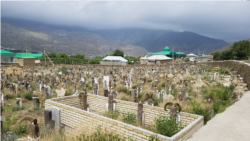 Diňle: Ahalda gonamçylyklara gözegçilik güýçlenýär, işanlar, palçylar, tebipler soraga çekilýär