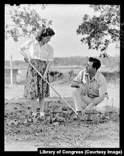 Багато хто, як ось і родина Смітів з Чілдерсбурга в Алабамі, влаштував у 1940-иx «грядку перемоги» в себе на задньому дворі