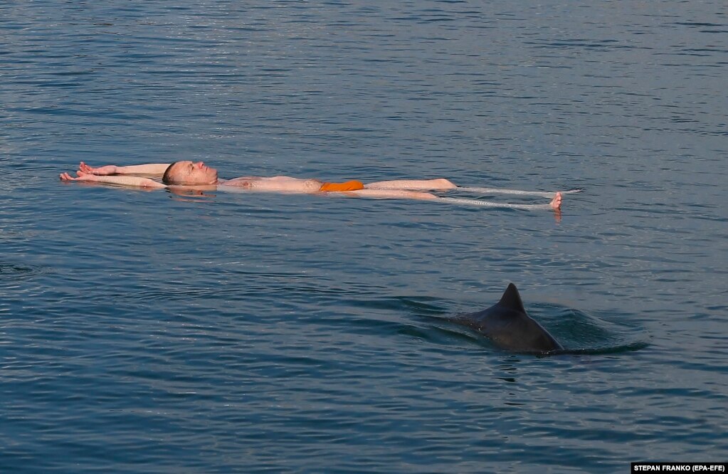 Një burrë duke notuar pranë një delfini në bregdetin e Odesës.