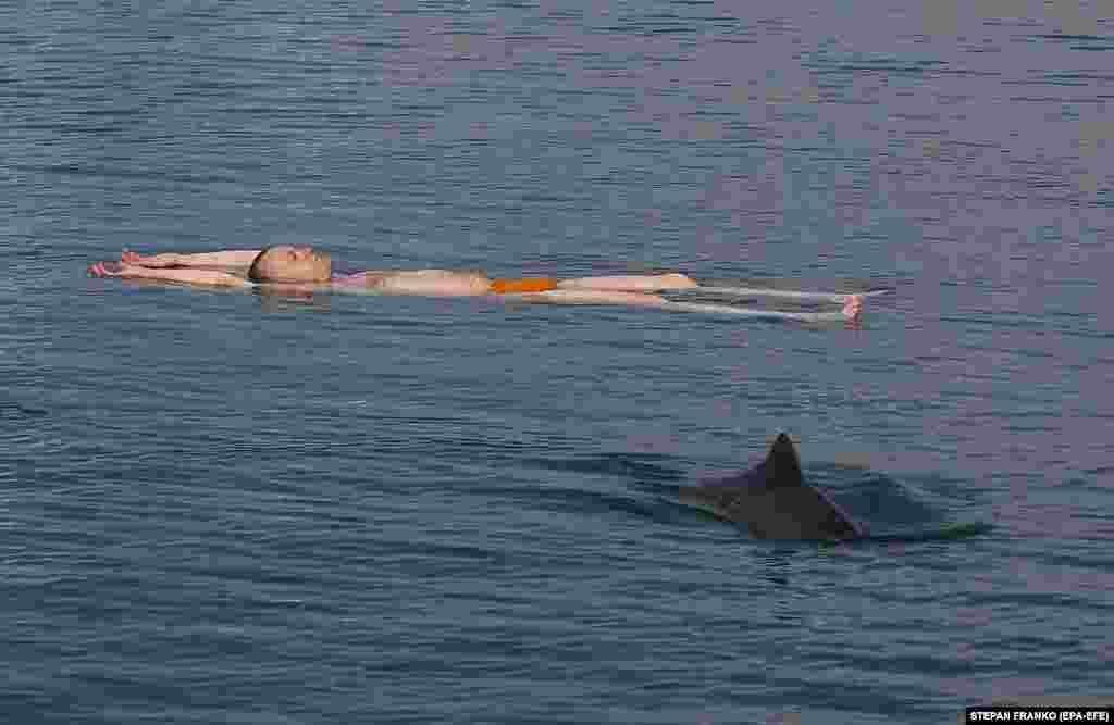 A man swims next to a dolphin in Odesa.