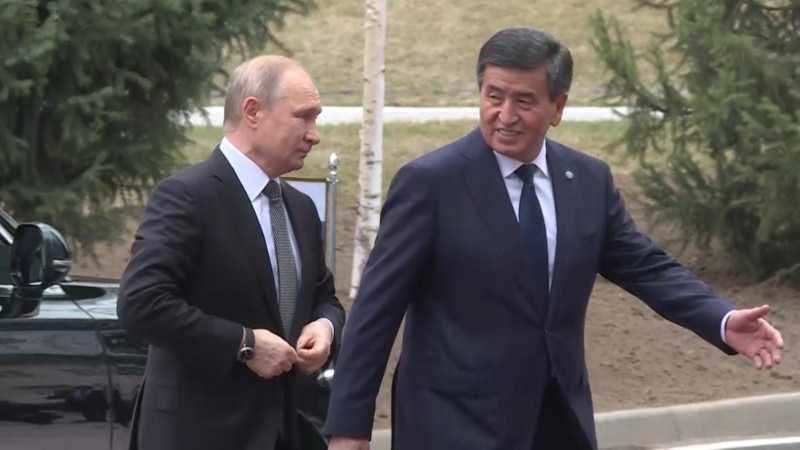 Матбуот: Сооронбай Ҷеенбеков ба Владимир Путин аспу саг тақдим кард. ВИДЕО
