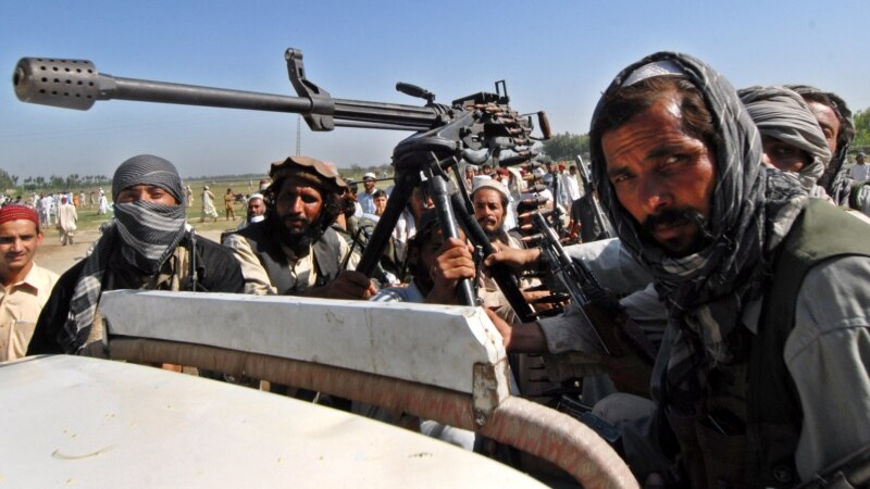 طالبان: پکتیکا کې د درېیو پاکستاني طالبانو د وژنې په اړه څېړنه کوو