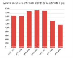 Evoluție cazuri Covid