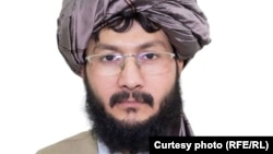 حافظ ضیا احمد معاون سخنگوی وزارت خارجۀ طالبان(آرشیف)