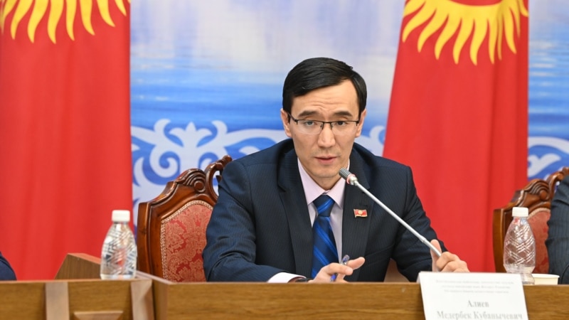 Депутат Алиев Кыргызстандын ЕЭКтеги өкүлдөрүнүн ишин сынга алды