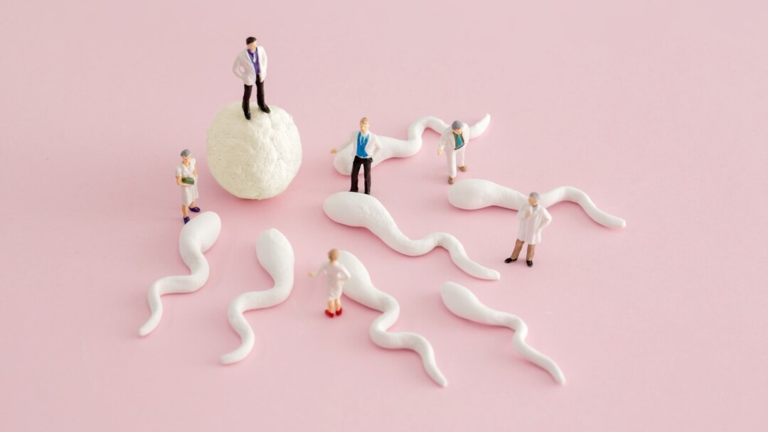 + доноров спермы для зачатия – каталог анкет мужчин с фото