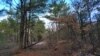 SEVASTOPOL -- Winter forest near the village of Ternovka near Sevastopol. Ternovka, Balaklavsky district, Sevastopol, Ukraine, February 4, 2022