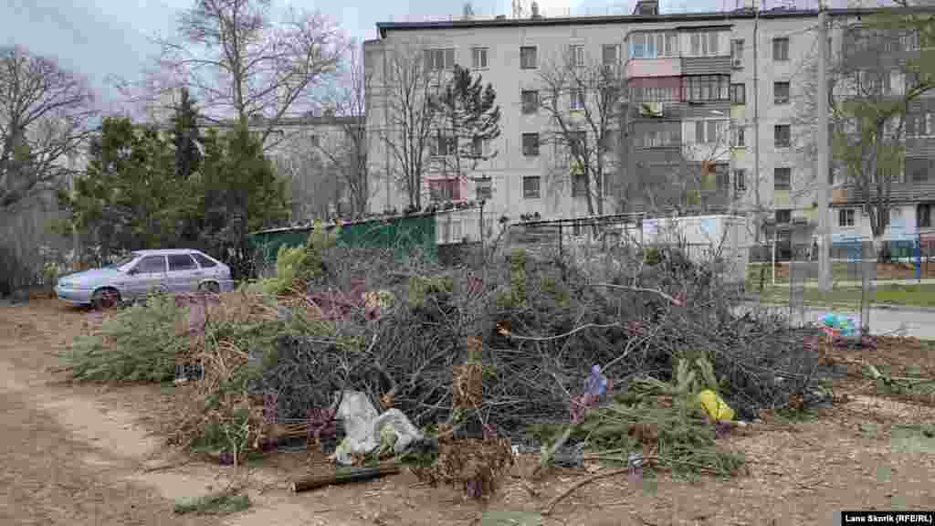 Огромная куча из срезанных веток и выброшенных елок у дома №20 по проспекту Победы