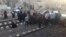 عکسی که رسانه‌های ایران از تصادف یک دستگاه وانت و یک قطار در ورامین منتشر کرده‌اند
