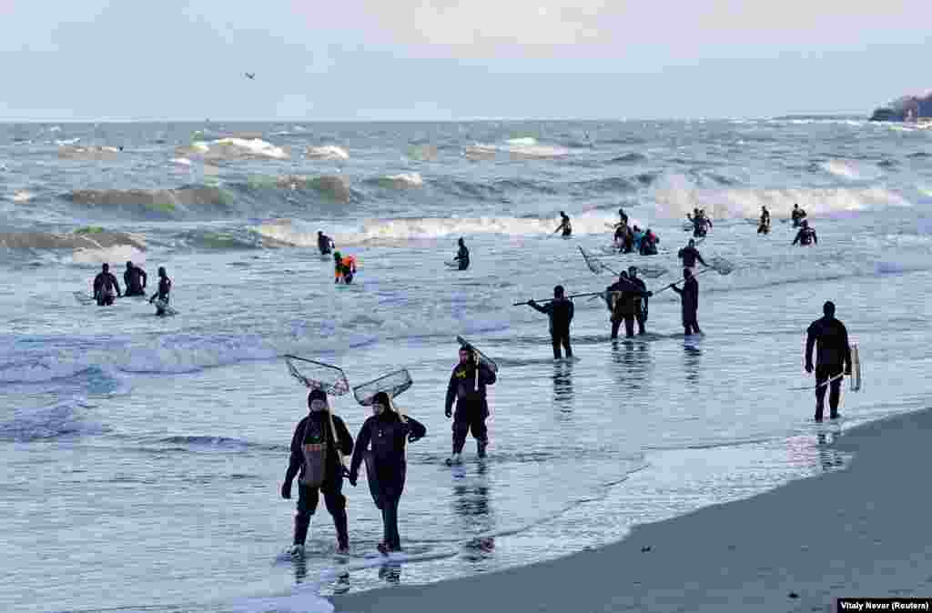 Kjo foto tregon disa nga shumë burrat teksa bëjnë kërkime me duart nën ujë në plazhin Pionersky, në enklavën perëndimore të Rusisë, Kaliningrad, më 18 janar.