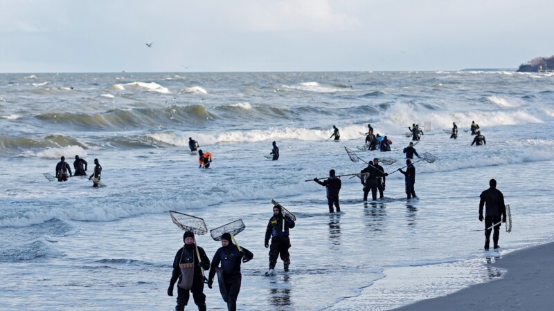 Stuhia e Artë: Valët e dimrit nxjerrin qelibarin në plazhin rus