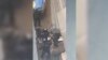 Полицияның арнайы күштері жаралы адамдарды ауруханадан күштеп әкетіп бара жатыр. Видеодан скриншот
