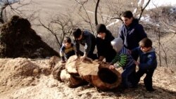 «Կուզեի՝ երեխաներն ինձնից ավելի լավ ապրեն». բազմազավակ ընտանիքում սոցիալական խնդիրներից փորձում են շատ չխոսել