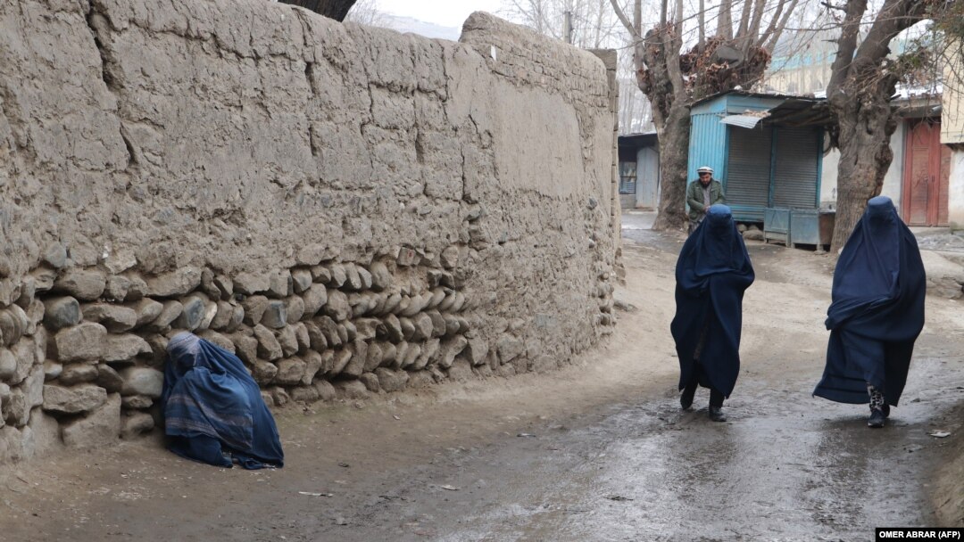 Since taking over Afghanistan in August 2021, the Taliban has banned women and girls from universities and schools after the sixth grade and forced out women in elected offices and other prominent positions.