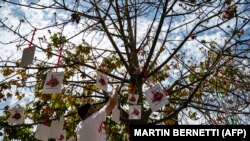 عکس قربانیان اعتراض بر درخت توسط حامیان اعتراضات در شیلی