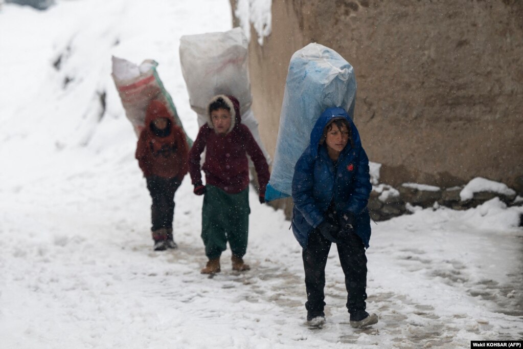 Djemtë të ngarkuar me thasë me letra, që do t'i përdorin për të ngrohur shtëpitë e tyre, ecin në një shteg gjatë reshjeve të borës në Kabul.