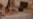 16x9 Image