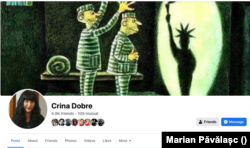 Profilul de Facebook al Crinei Dobre