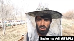 Shir Agha menaxhon 160 koshere bletësh në Helmand. "Nuk ka shitje. Mjalti ka mbetur ende nga viti i kaluar. Nuk ka treg", thotë ai.